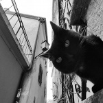 lovrammarunada8bwmal