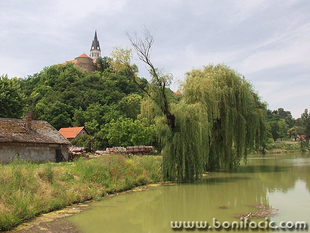 travel___Ascent___Ilok, Croatia.