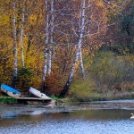 mezlavodicajesen44bmal