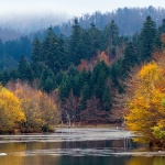 mezlavodicajesen36bmal