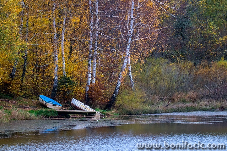 mezlavodicajesen44mal