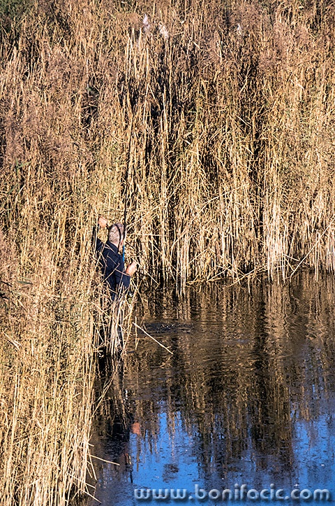 sabljacisaspecanje4mal