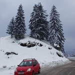 travel___Below Pines___Vrbovsko, Croatia.