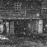 sinacmajersnig1bwmal