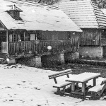 sinacmajersnig2bwmal