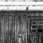 sinacmajersnig25bwmal