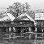 sinacmajersnig32bwmal