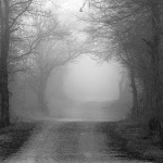 jezeronjivice13BWmal