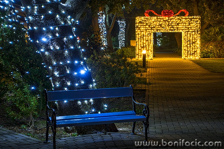 punatadvent20241mal