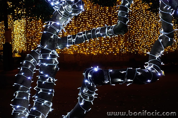 krkadvent202411mal