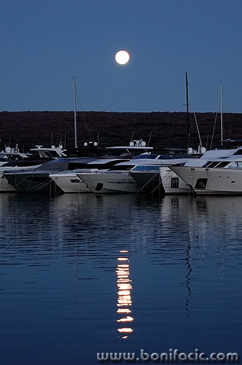marinafullmoon1mal