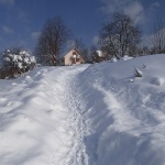 travel___Bob Track___Ogulinsko Zagorje, Croatia.