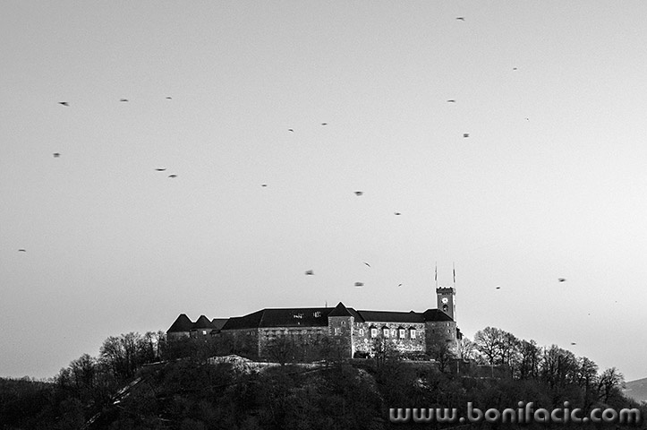 ljubljanaadvent33BWmal