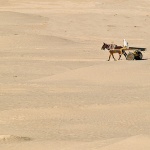 travel___Bushranger___Sahara, Tunisia.