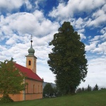 travel___By The Tree___Dokmanovici, Croatia.