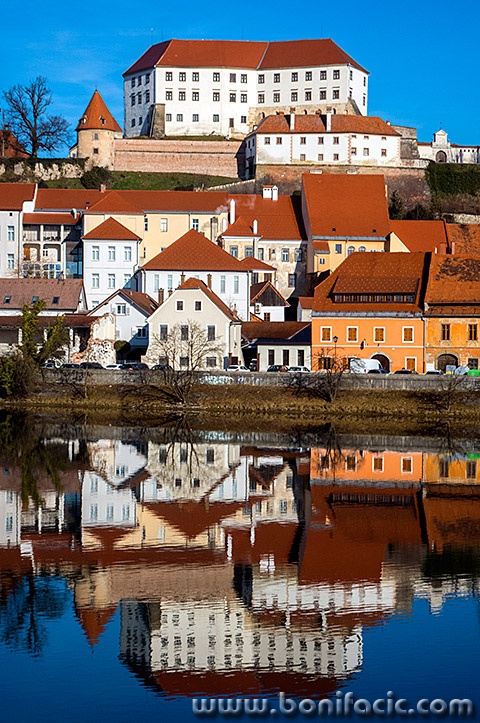 ptuj11mal