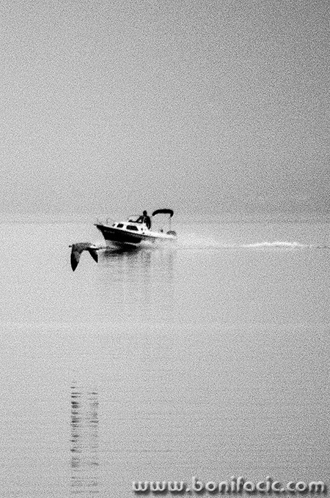 baskaglisergaleb1bwmal