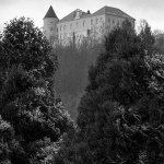 dvoracpodcetrtek6bwmal