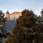 dvoracpodcetrtek5mal