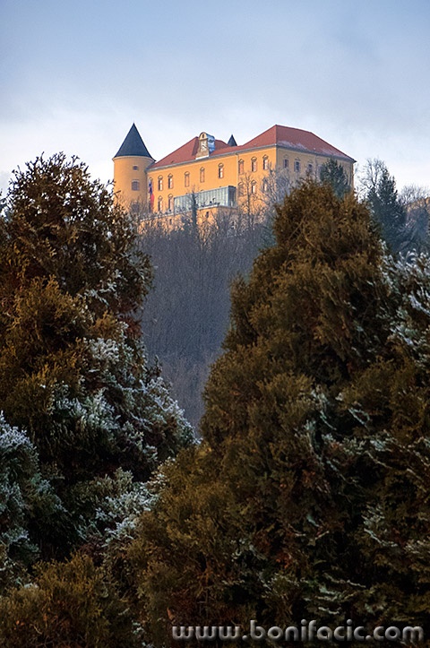 dvoracpodcetrtek6mal