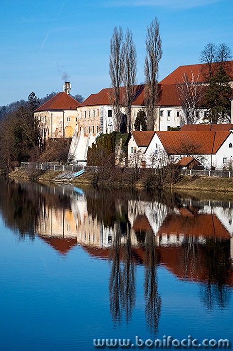 ptuj24mal