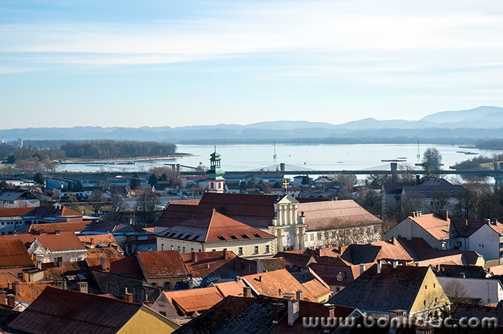ptuj34mal