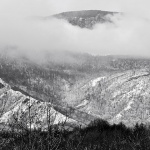 gorskikotarzima109mal