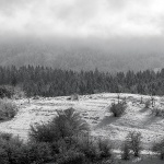 gorskikotarzima79mal