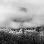 gorskikotarzima71bwmal