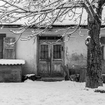 gorskikotarzima51mal