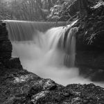 gorskikotarzima12mal