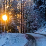 gorskikotarzima14mal