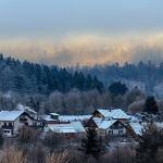 gorskikotarzima31mal