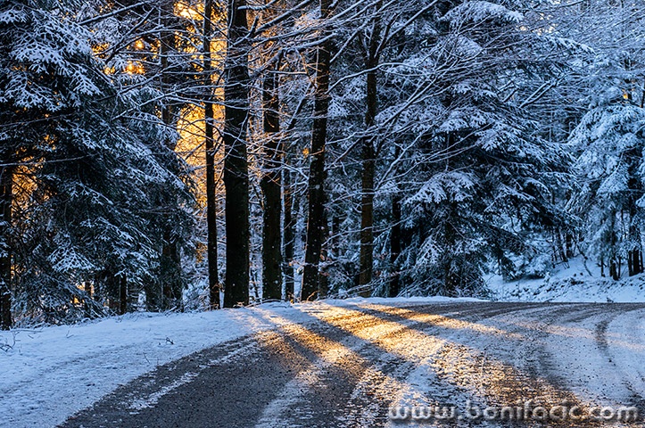 gorskikotarzima13mal