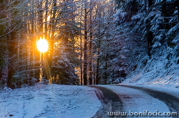 gorskikotarzima14mal