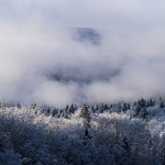 gorskikotarzima71mal