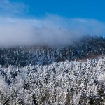 gorskikotarzima75mal