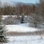 gorskikotarzima119mal