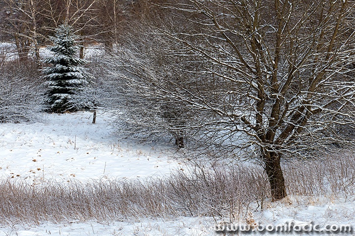 gorskikotarzima120mal