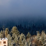 gorskikotarzima38mal