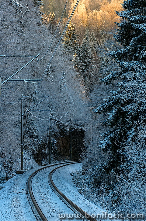 gorskikotarzima40mal