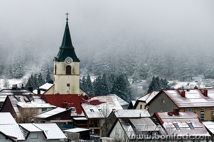 gorskikotarzima117mal