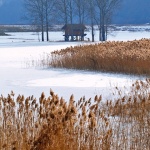 travel___Cold & Warm___Svica, Croatia.