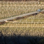 vrbnikpoljecesta2mal