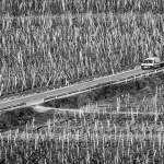 vrbnikpoljecesta1tifmal