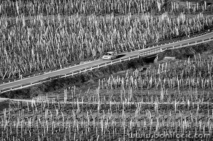 vrbnikpoljecesta4bwmal