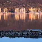 marinajarbolizalazprniba1mal