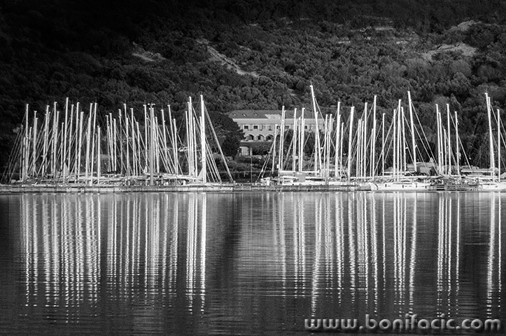 marinakanajtjarboliprniba1bw2mal