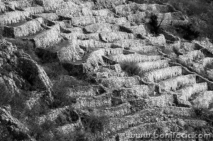 bakartrsi4bwmal