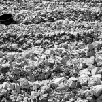 bakartrsigromacebw9mal